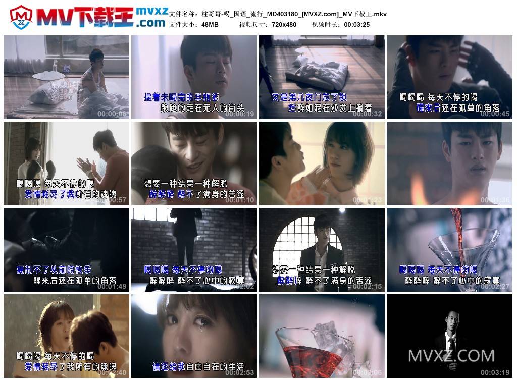 柱哥哥-喝_国语_流行_MD403180